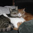 Marty and charlie snooze